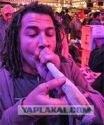 Купил такой сосисок, а они....