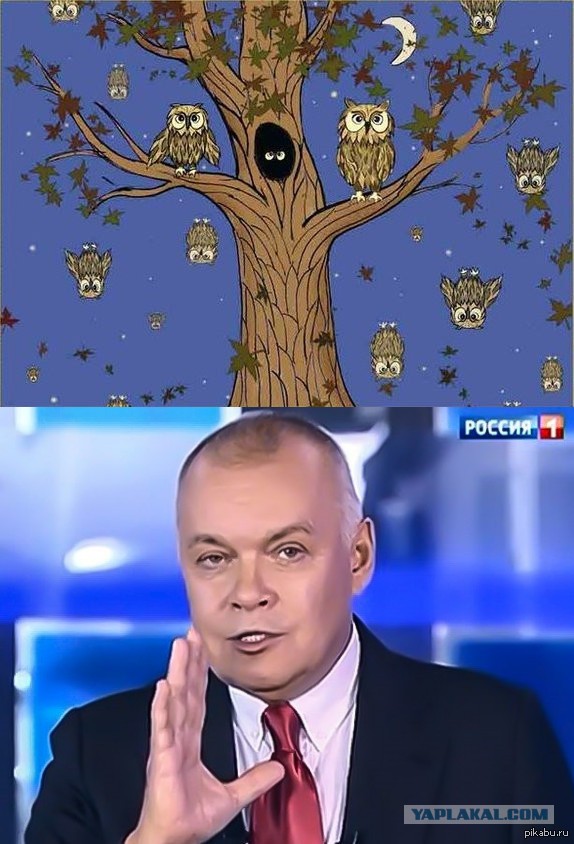 Невероятные результаты опроса старших школьников