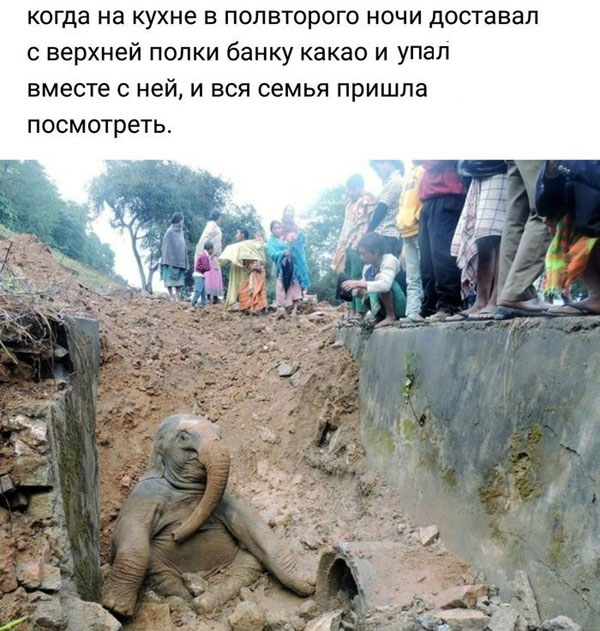 Бредзона 09.02.20
