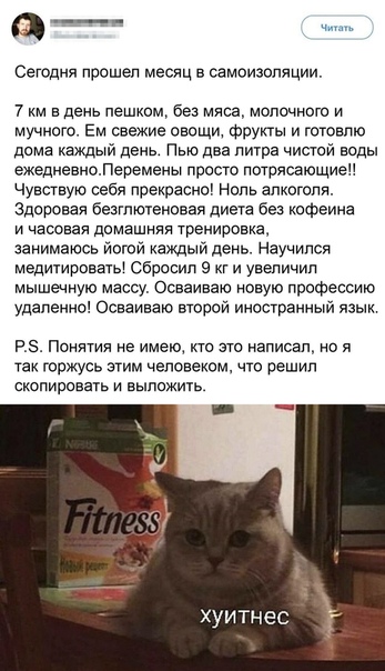 Немного картинок для настроения 23.04.20