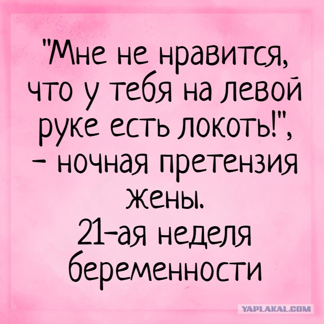 развод с беременной женой.