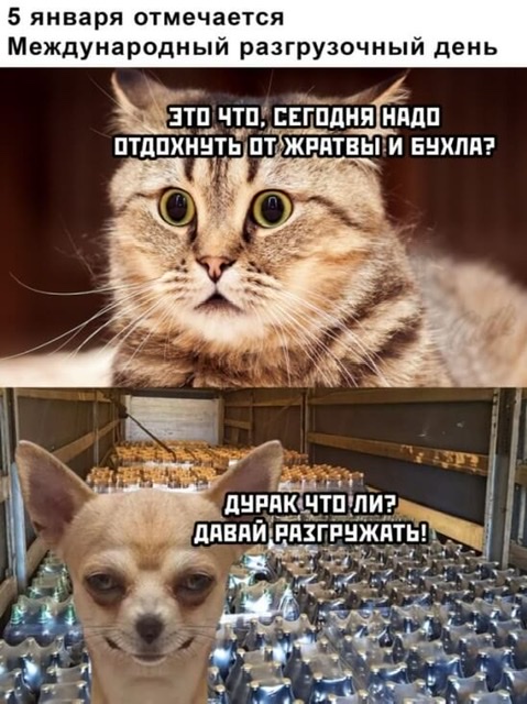 Бредзона 05.01.2021