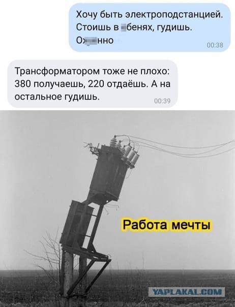 Забавные шутки, картинки и фразы из этих ваших интернетов 15.06.2021
