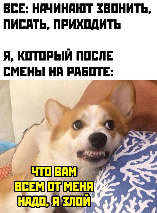 Весёлый полтишок 2.07