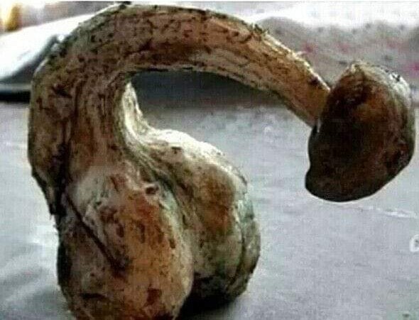 Про свеКРОВЬ