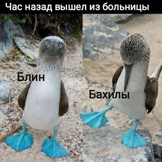 Добрый дзэн