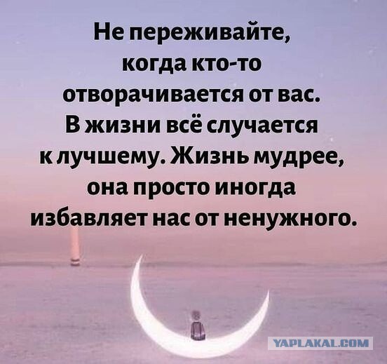Мои умные и не очень мысли в картинках