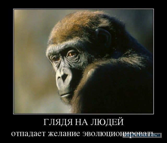 ТруЪ демотиваторы