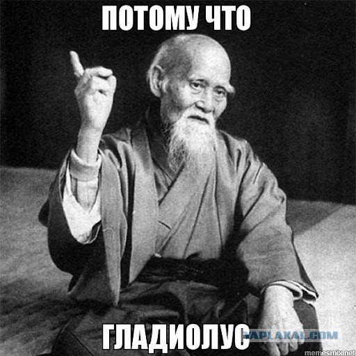 Двухщелевой опыт. Квантовые флуктуации Вакуума и эффект наблюдателя