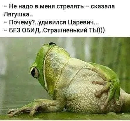 Так себе картинки 16.04.22