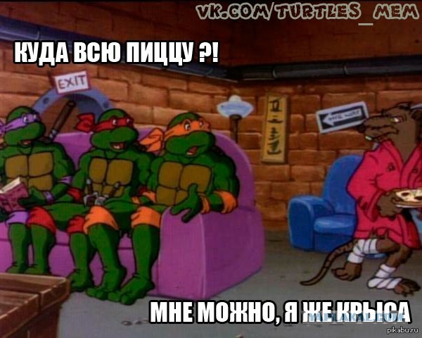 Давай заведем крыску