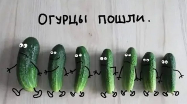 Баянисто-небаянистый юмор 17.05.22