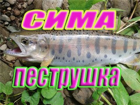 Сейчас покушусь на святое