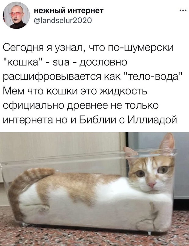 Картинки и мемы. Выходные близко, близко...