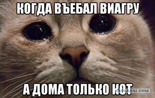 50 оттенков серого или самосвал баянов. Vol. 18. 50 штук.
