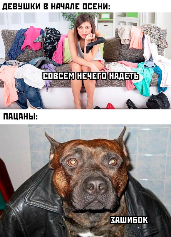 Картинки и мемы для настроения - 17