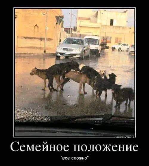 Деградация лайт 13.10.2022