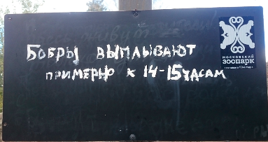 Победная поступь идиотизма по планете – том 2