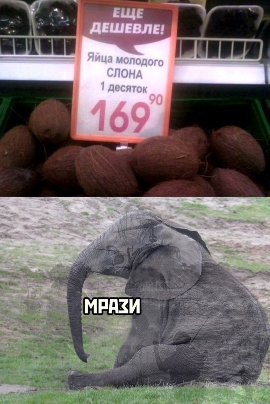Немного картинок для настроения - 117