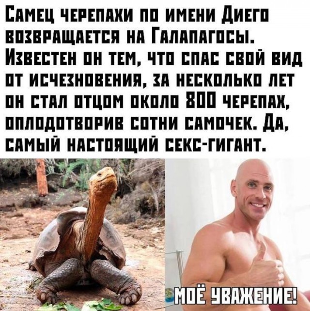 Картинки и мемы. Выходные близко...