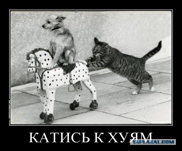 Лучший вариант для евреев — уехать