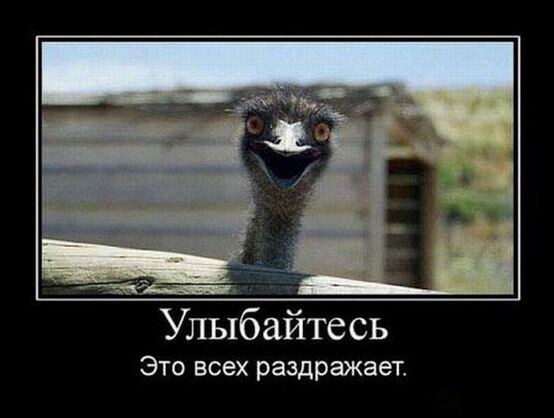 Так себе картинки 24.04.23