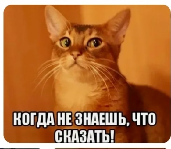 Чума продолжает захватывать Россию