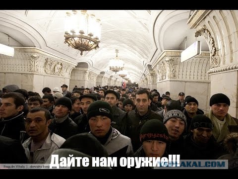 С российской овощебазы доставили в военкомат сотню земляков мигрантов