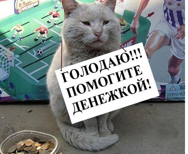 Пьющая красавица: мифы и правда о женском алкоголизме