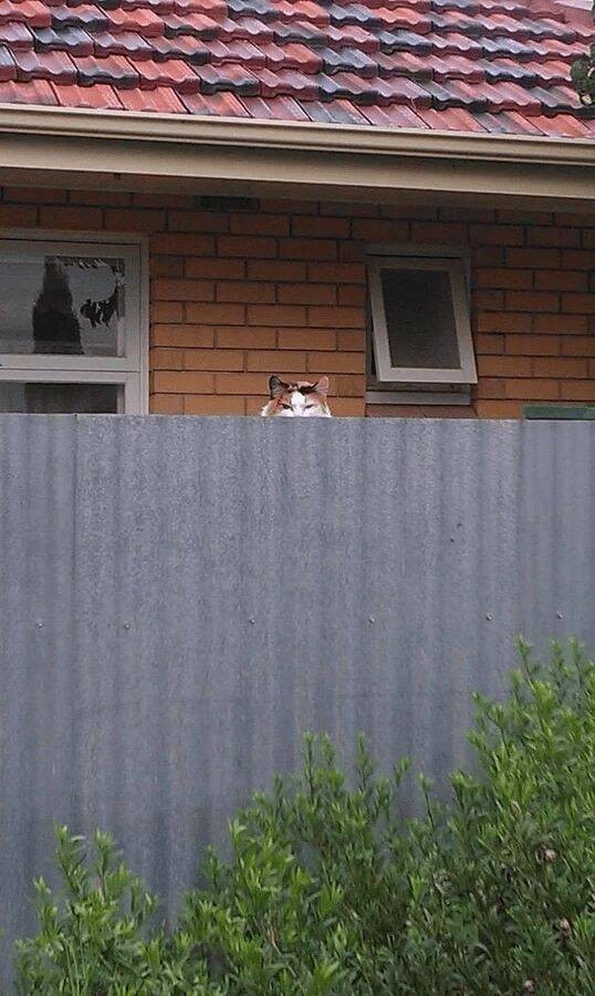 Разное