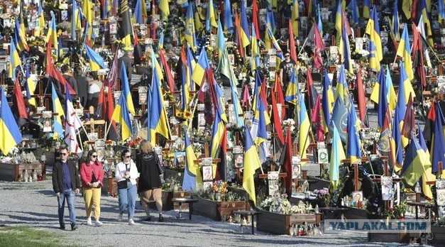 Поляки возвращаются домой с украины