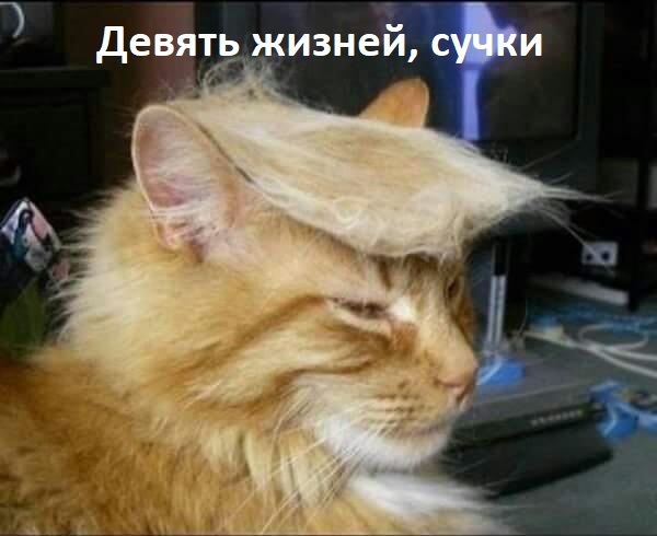Сборник бабаянов или неожиданная помойка от Неждалигады