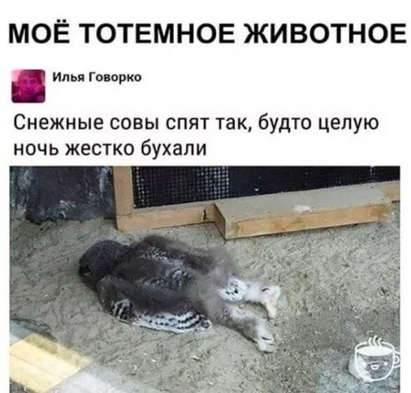 Завалялось тут случайно немного забавных картинок