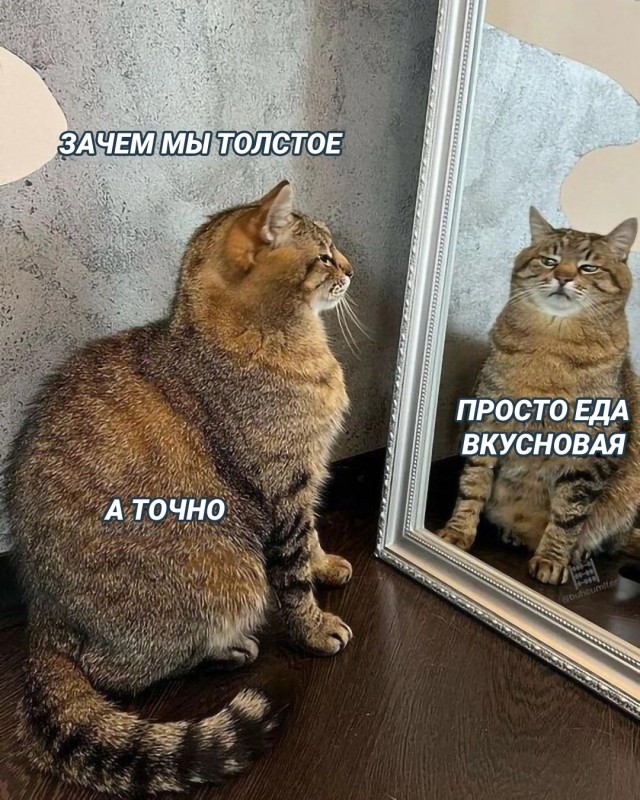 Так себе картинки 03.11.24