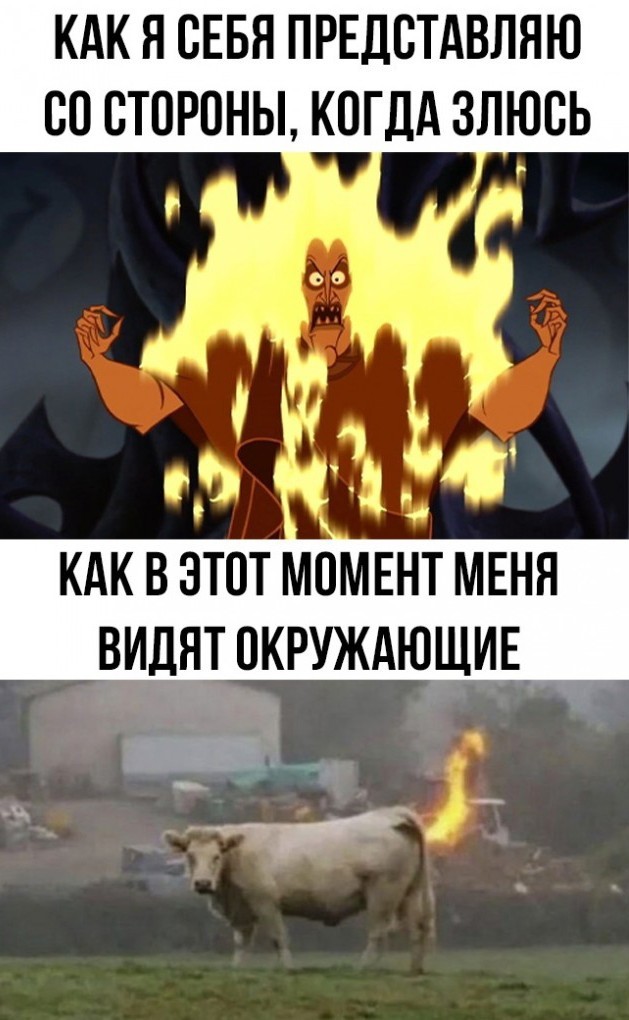 Веселая ферма: ЯППомощник