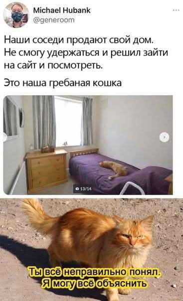 Так себе картинки 29.04.25