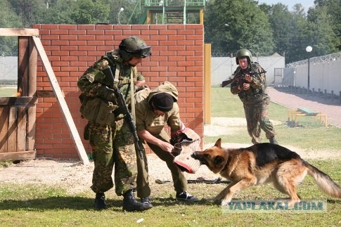 Ветеран ФСБ продал квартиру спасая служебных собак