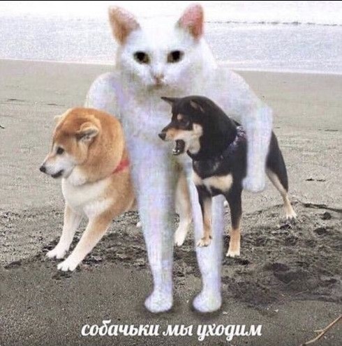 Папка с ответами