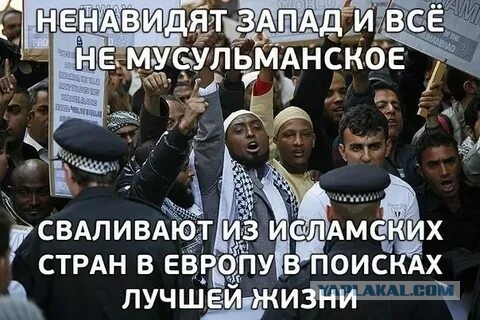 Всеобщая толерантность.