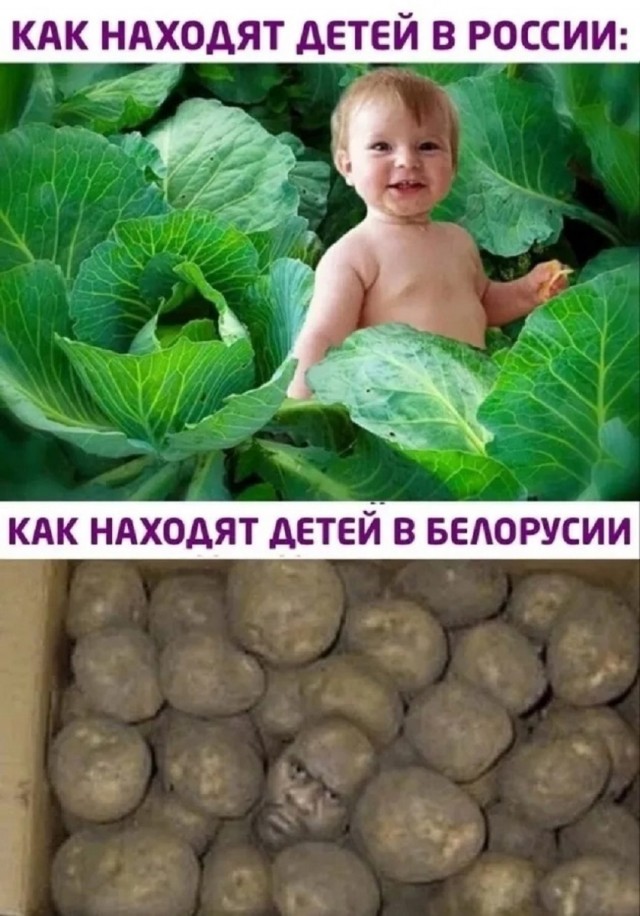Про картошку