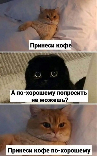 Отсутствие морально этических норм Vol.52
