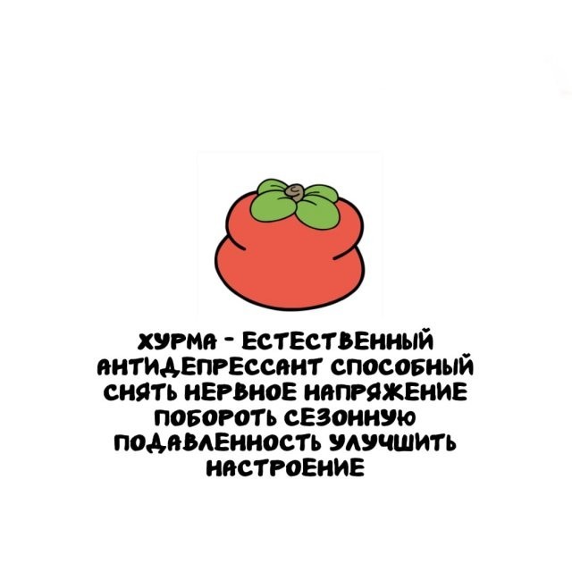 Подборка интересных фактов на все случаи жизни 26.11.25