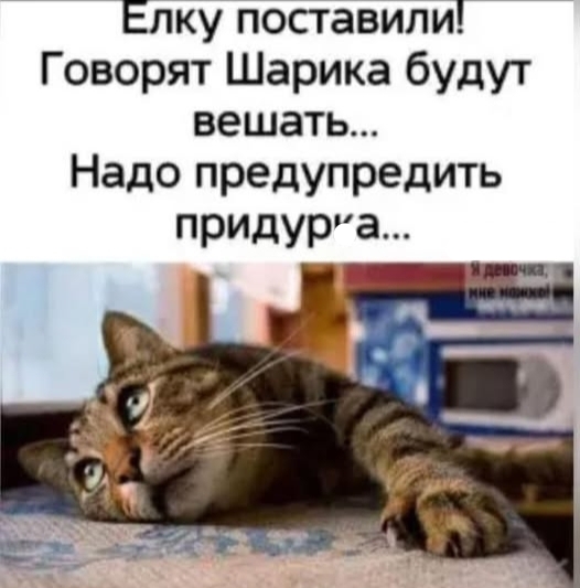Отличного дня!