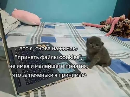 Картиночки, баянчики 18 февраля