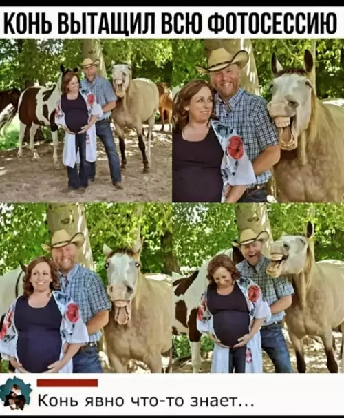 Картиночки, баянчики 19 февраля