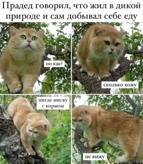 Картиночки, баянчики 16 марта