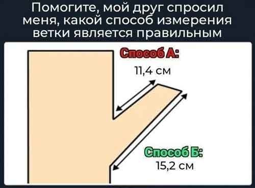 Картинки для деградации 194 (разной степени свежести)