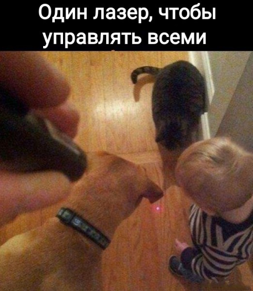 Картинки для деградации 305 (разной степени свежести)