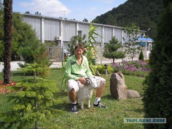 Регистратор Рыбакина