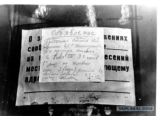 Дорога жизни...